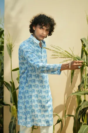 Elephant March  - Silk Kurta